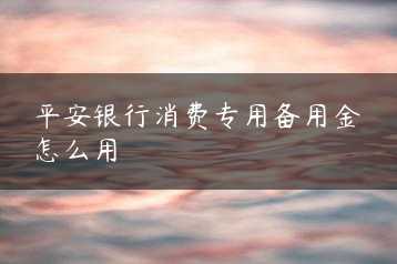 平安银行消费专用备用金怎么用缩略图