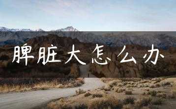 脾脏大怎么办缩略图
