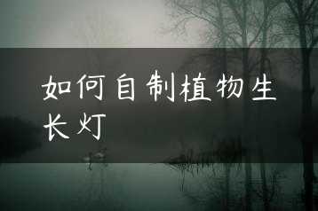 如何自制植物生长灯缩略图