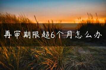 再审期限超6个月怎么办缩略图