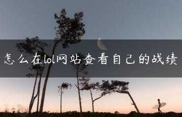 怎么在lol网站查看自己的战绩缩略图