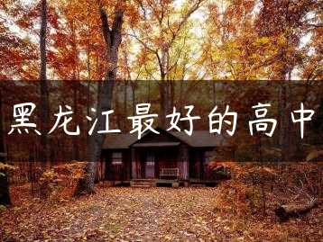 黑龙江最好的高中缩略图