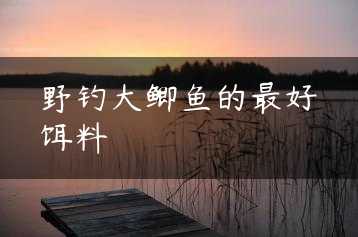 野钓大鲫鱼的最好饵料缩略图