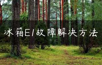 冰箱E1故障解决方法缩略图