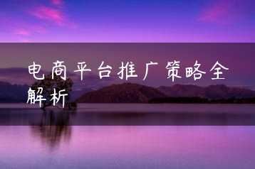 电商平台推广策略全解析缩略图