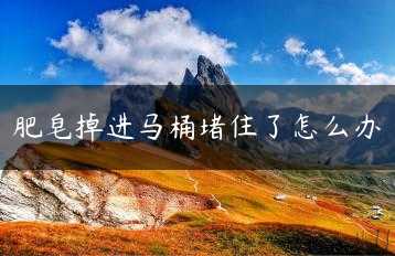 肥皂掉进马桶堵住了怎么办缩略图