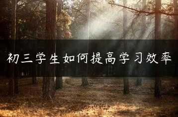 初三学生如何提高学习效率缩略图