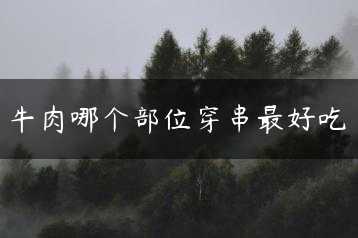 牛肉哪个部位穿串最好吃缩略图