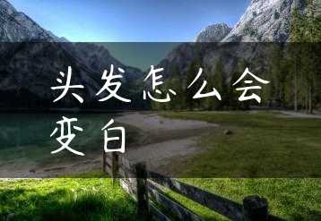 头发怎么会变白缩略图