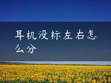 耳机没标左右怎么分缩略图
