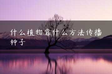 什么植物靠什么方法传播种子缩略图
