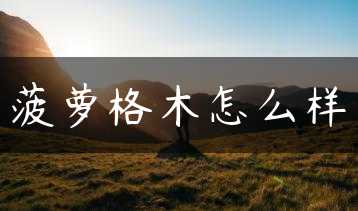 菠萝格木怎么样缩略图