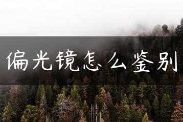偏光镜怎么鉴别缩略图