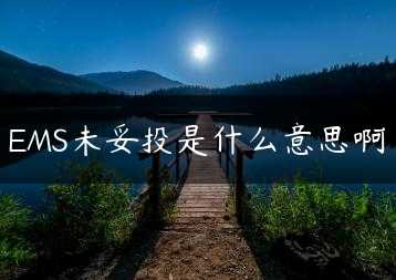 EMS未妥投是什么意思啊缩略图