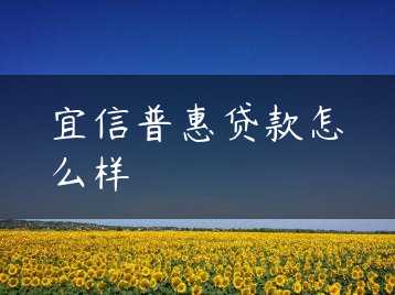 宜信普惠贷款怎么样缩略图