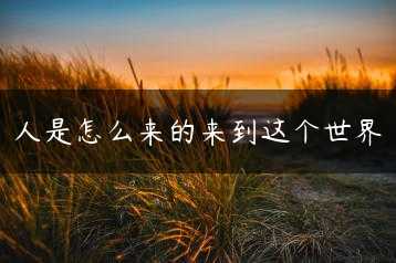 人是怎么来的来到这个世界缩略图
