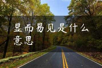 显而易见是什么意思缩略图