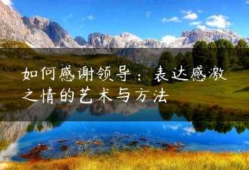 如何感谢领导：表达感激之情的艺术与方法缩略图