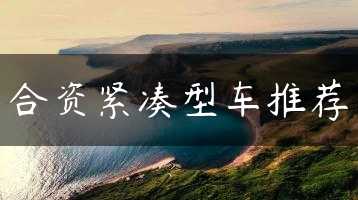 合资紧凑型车推荐缩略图