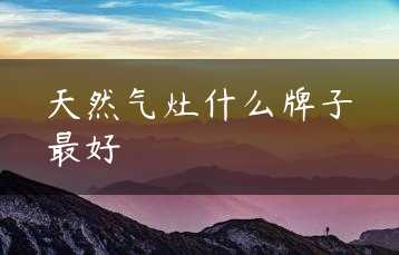 天然气灶什么牌子最好缩略图