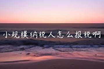 小规模纳税人怎么报税啊缩略图