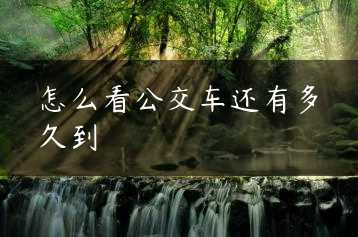 怎么看公交车还有多久到缩略图