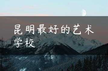 昆明最好的艺术学校缩略图