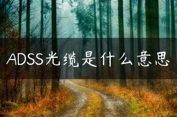ADSS光缆是什么意思缩略图