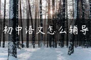 初中语文怎么辅导缩略图