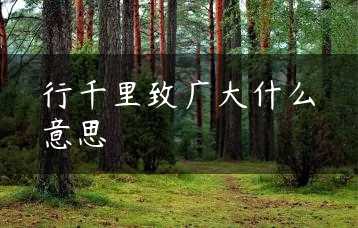 行千里致广大什么意思缩略图