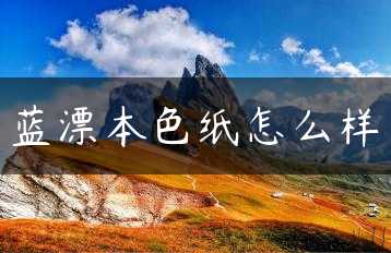 蓝漂本色纸怎么样缩略图