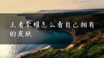 王者荣耀怎么看自己拥有的皮肤缩略图