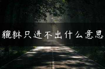 貔貅只进不出什么意思缩略图