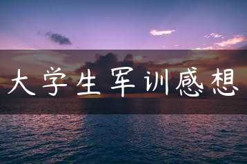大学生军训感想缩略图