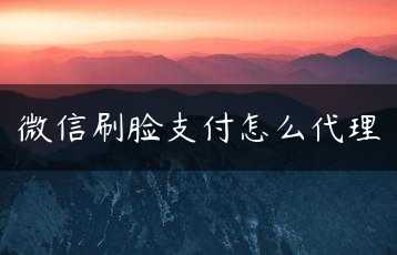 微信刷脸支付怎么代理缩略图