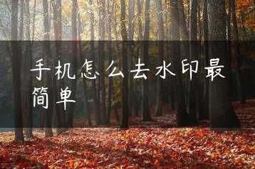 手机怎么去水印最简单缩略图
