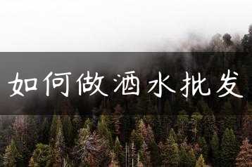 如何做酒水批发缩略图